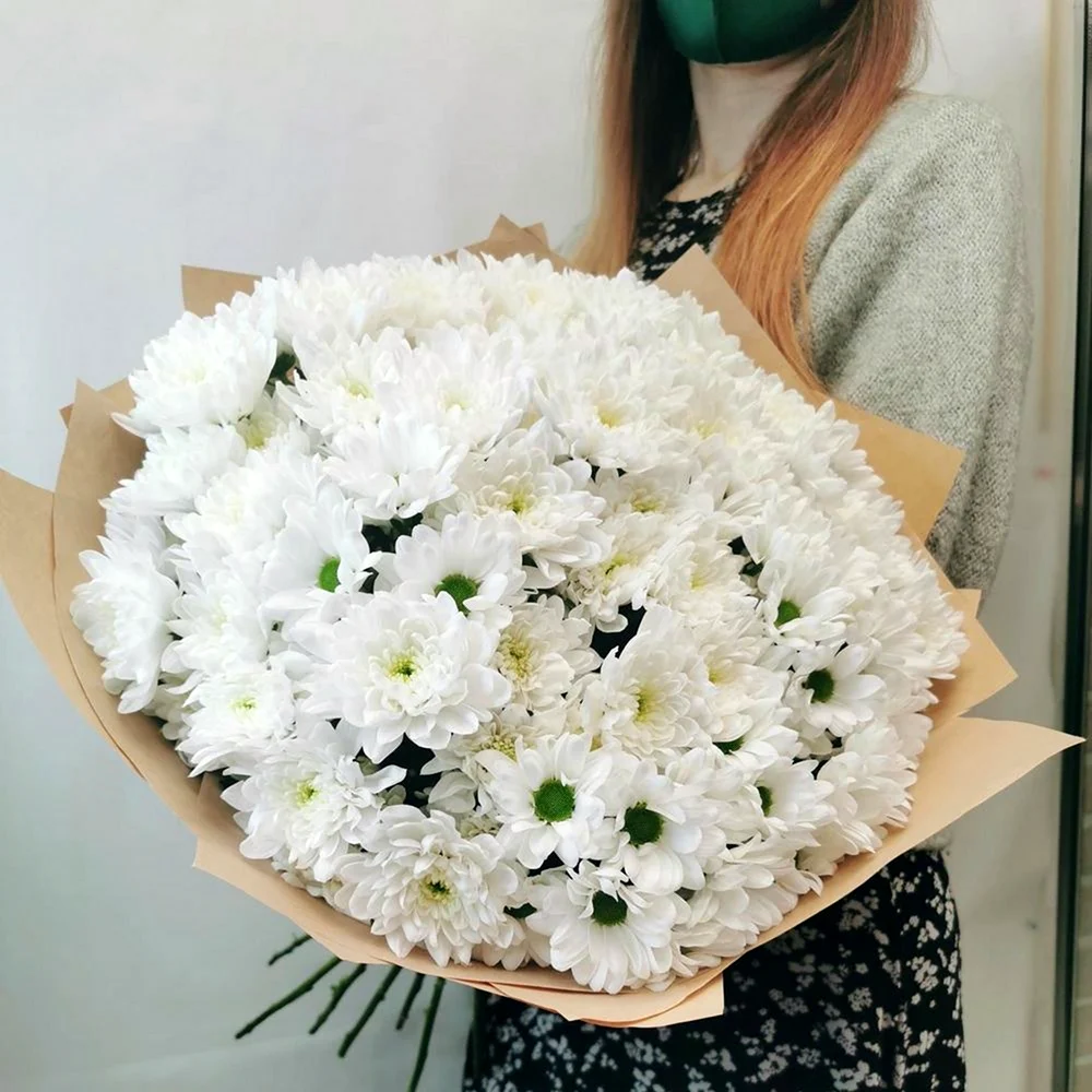15 Белых кустовых хризантем