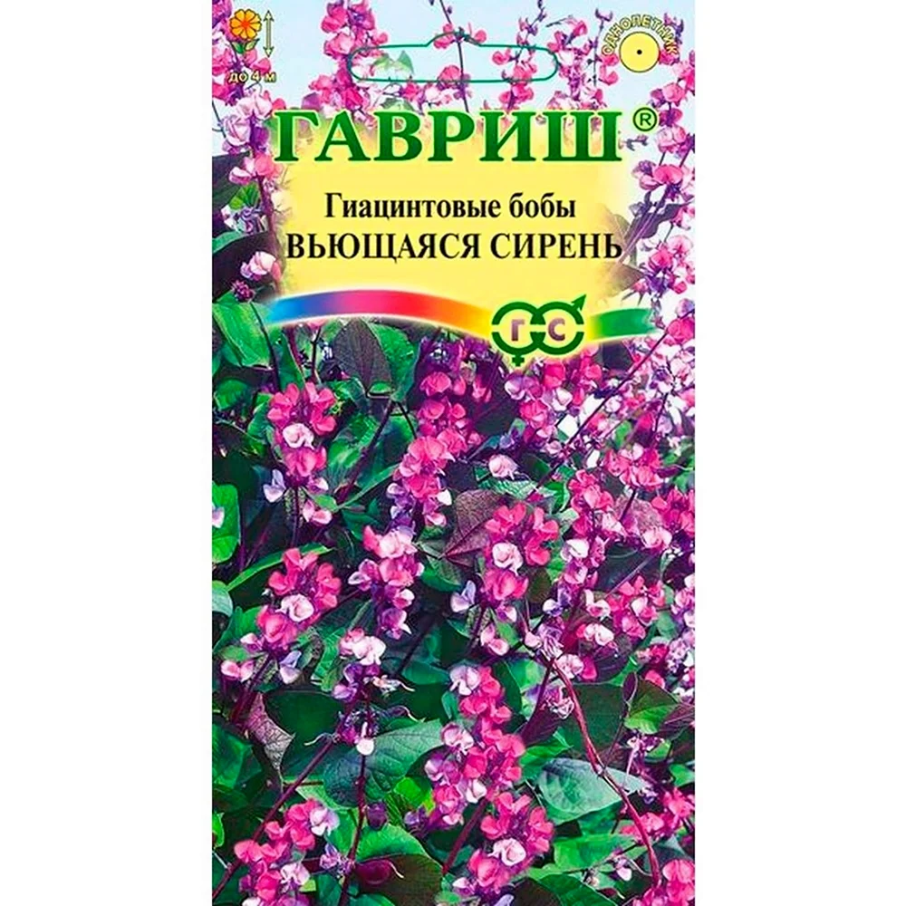 Бобы гиацинтовые вьющаяся сирень Гавриш