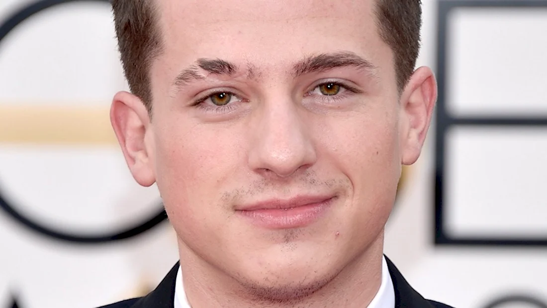 Charlie Puth бровь