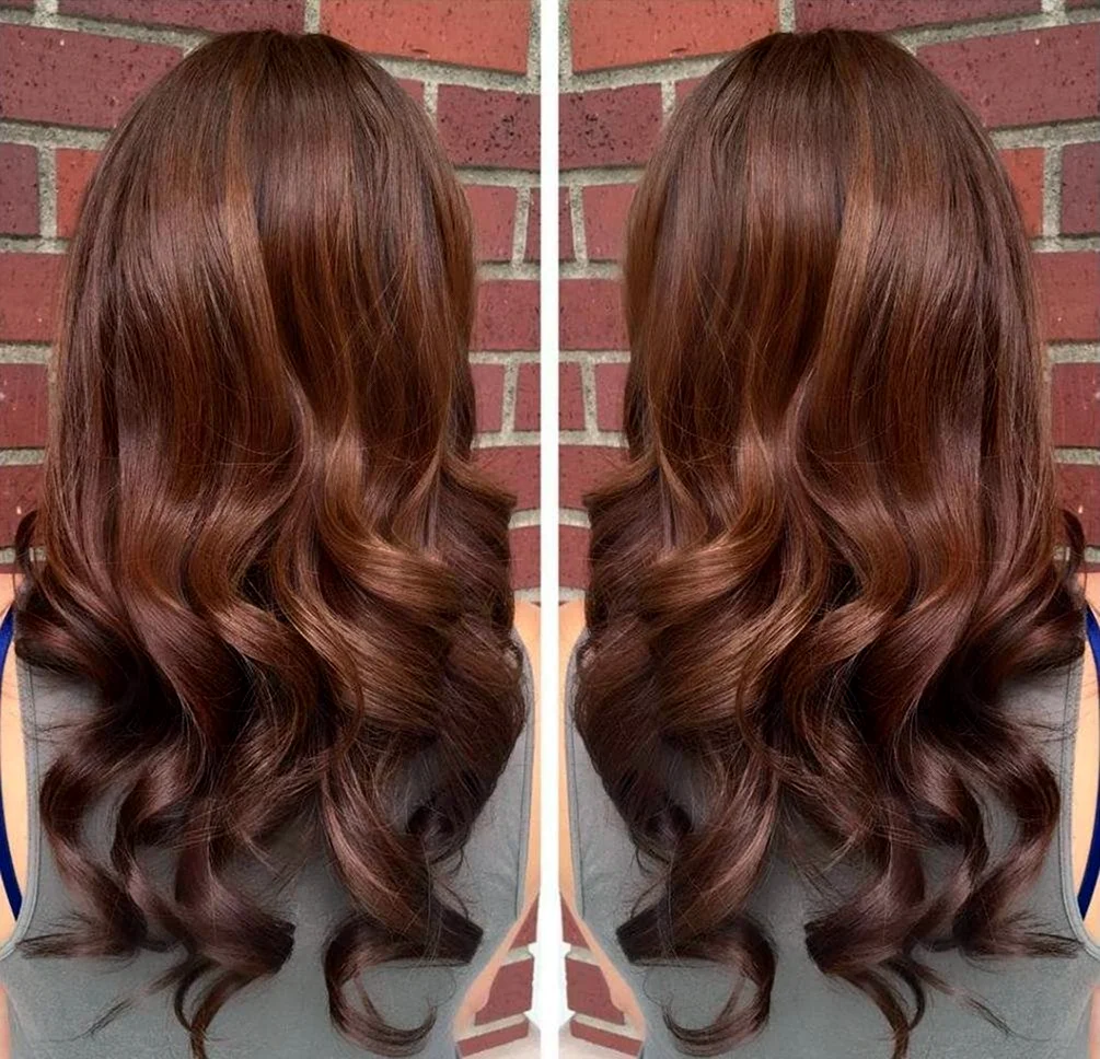 Chestnut Brown цвет волос