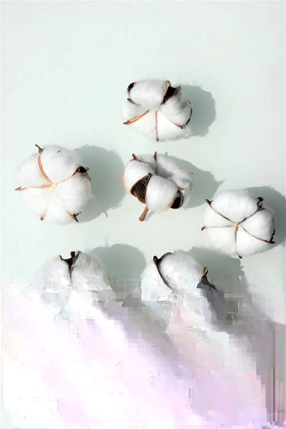. Cotton хлопковые отходы5202990000 -