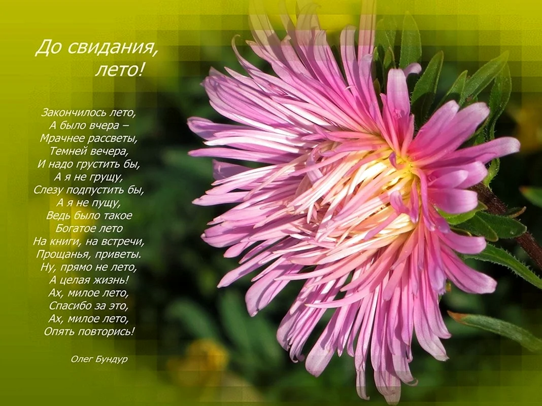До свидания лето