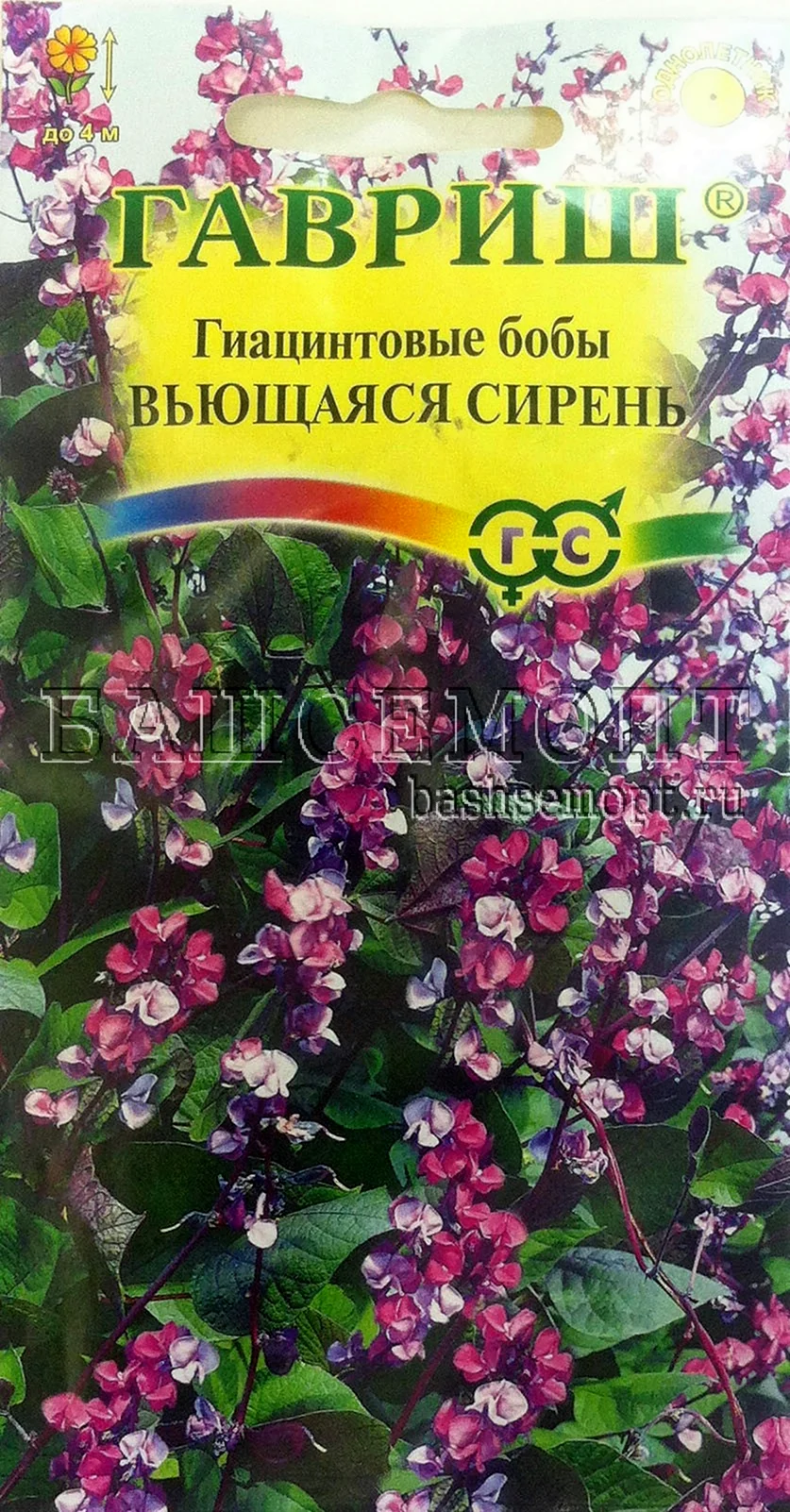 Долихос вьющаяся сирень