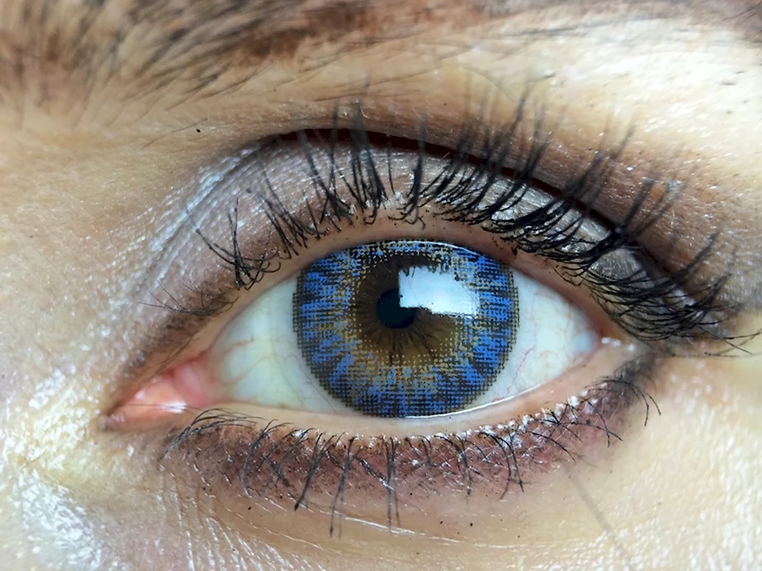 FRESHLOOK Colorblends Blue