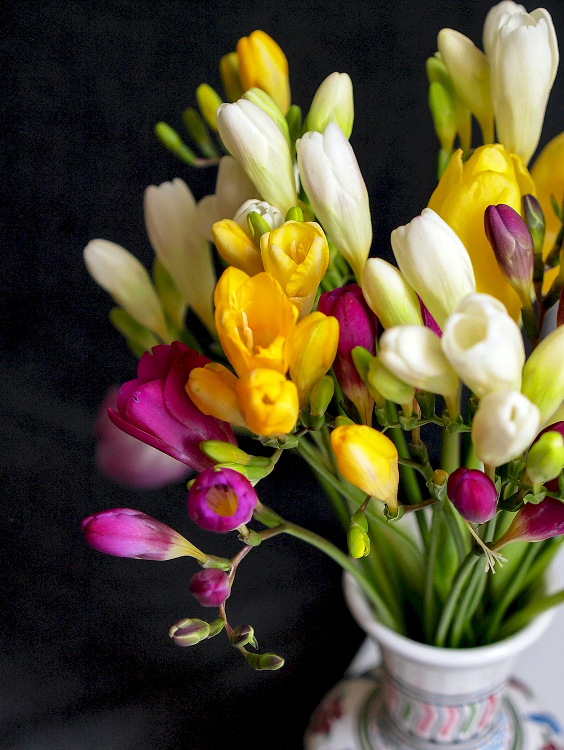 Фрезия Freesia