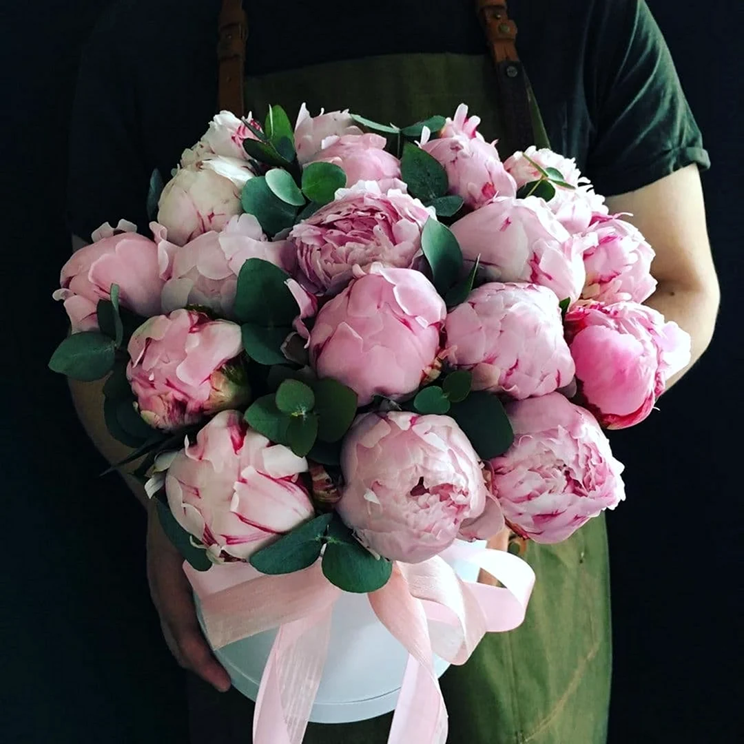 Голландские пионы букет