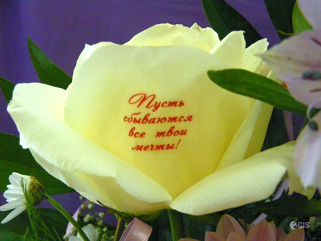 Говорящие цветы франшиза