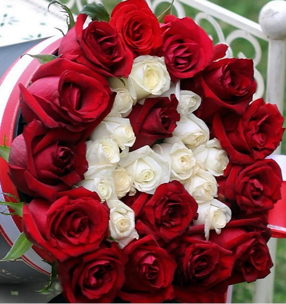 Гулар атиргул