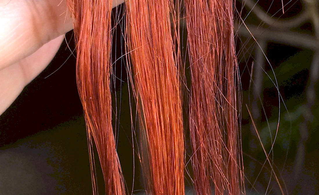 Henna hair Dye