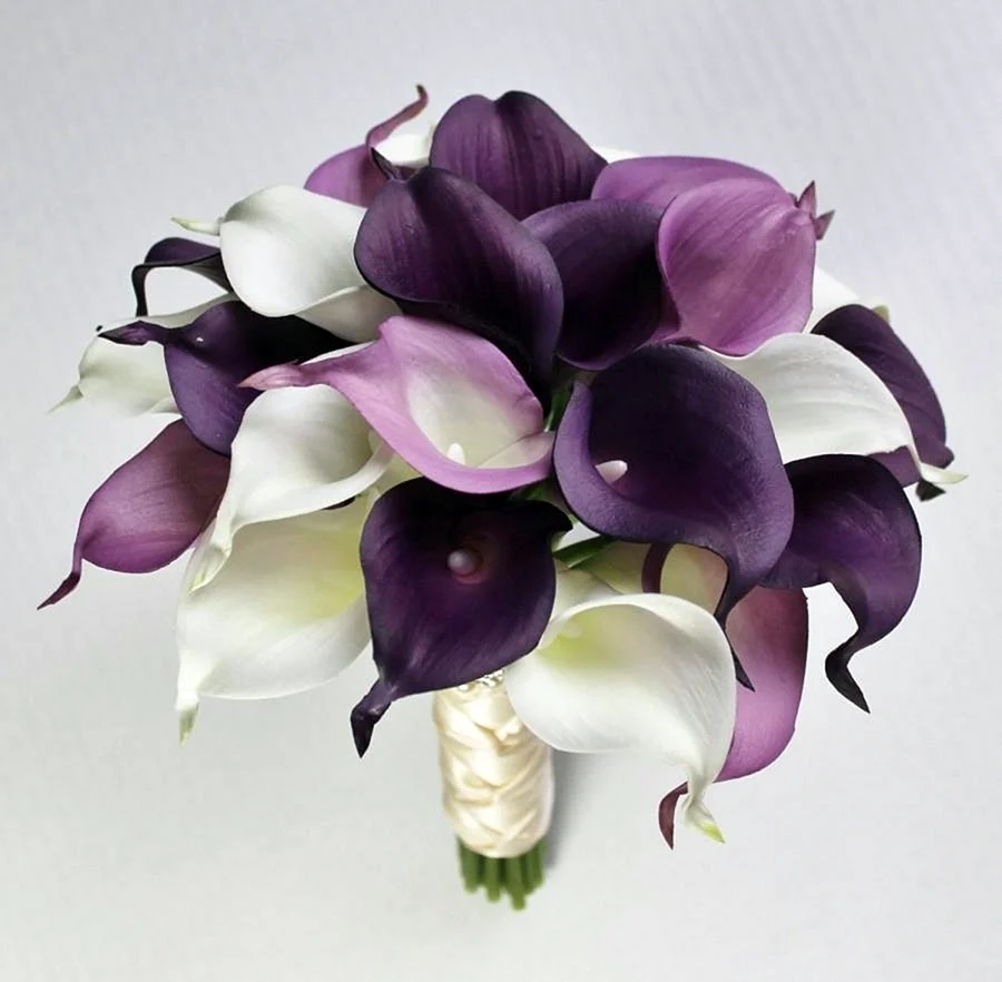Калла аметист