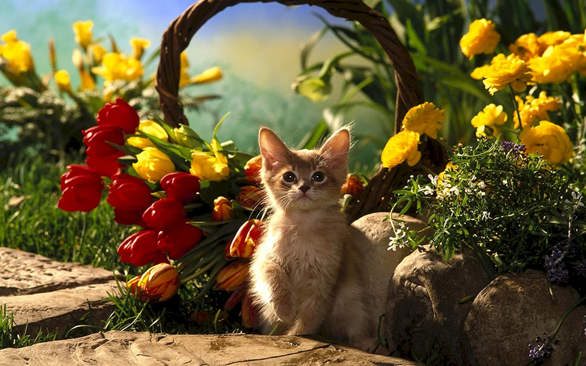 Кот в цветах