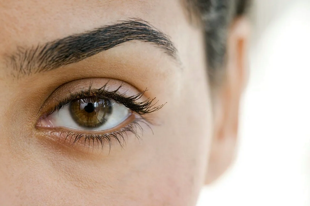Lancome sourcils Styler