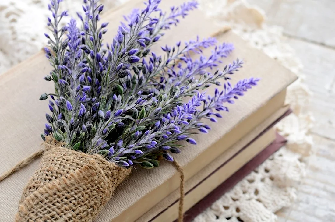 Lavender Лаванда Decor