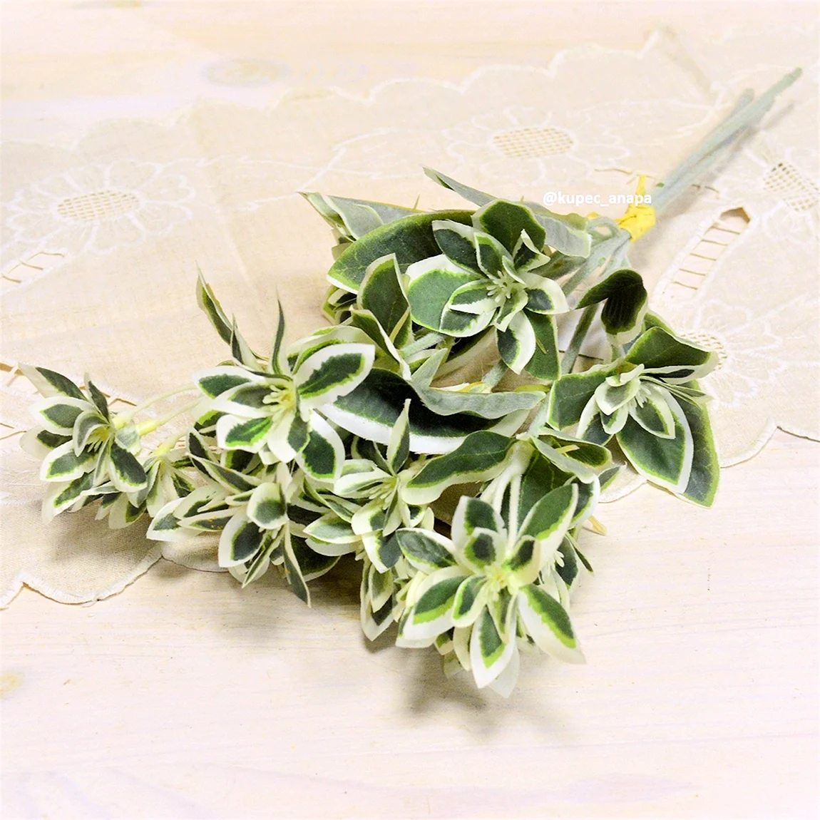 Лиана Рускус