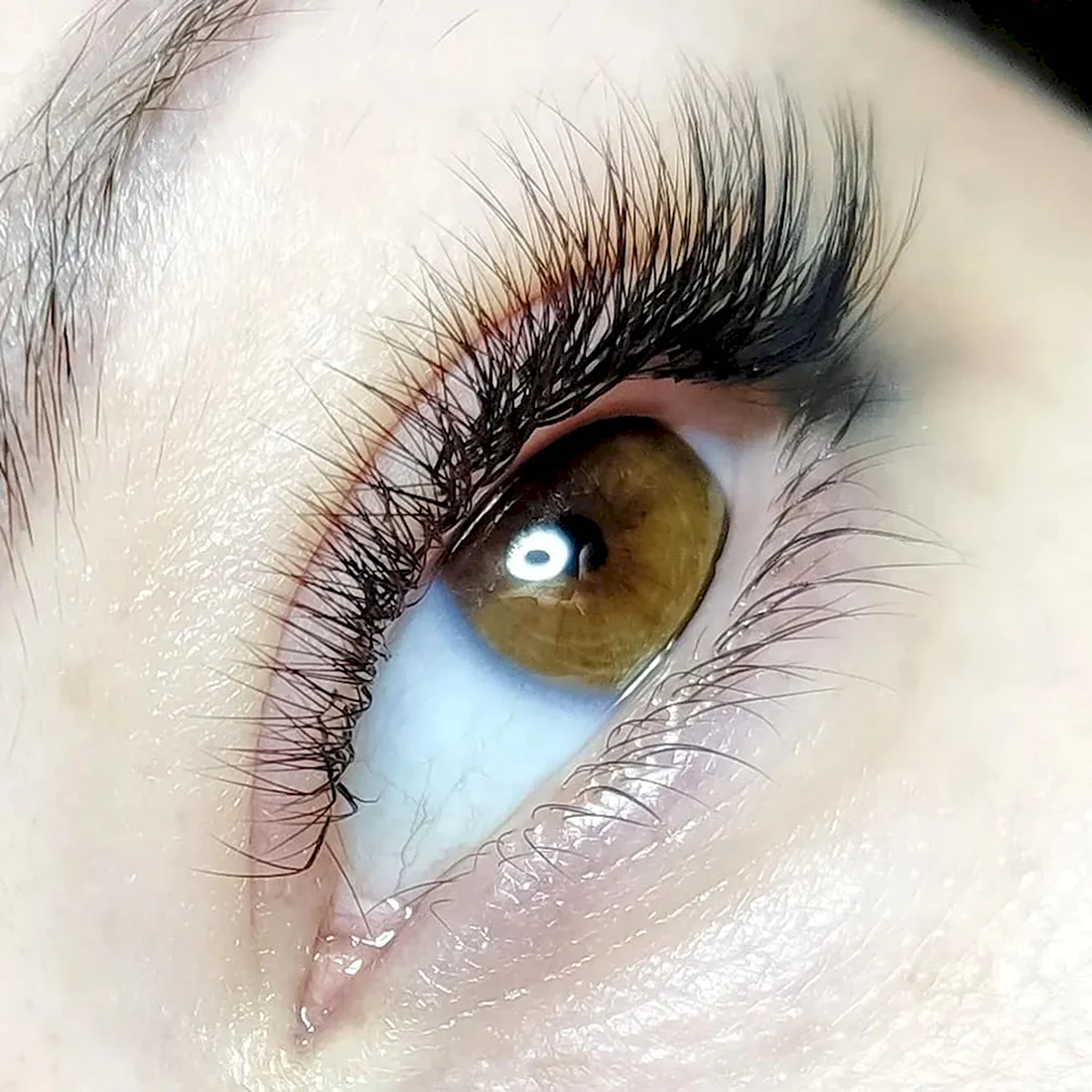 Light look наращивание ресниц