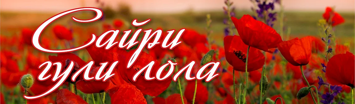 Лола гулим