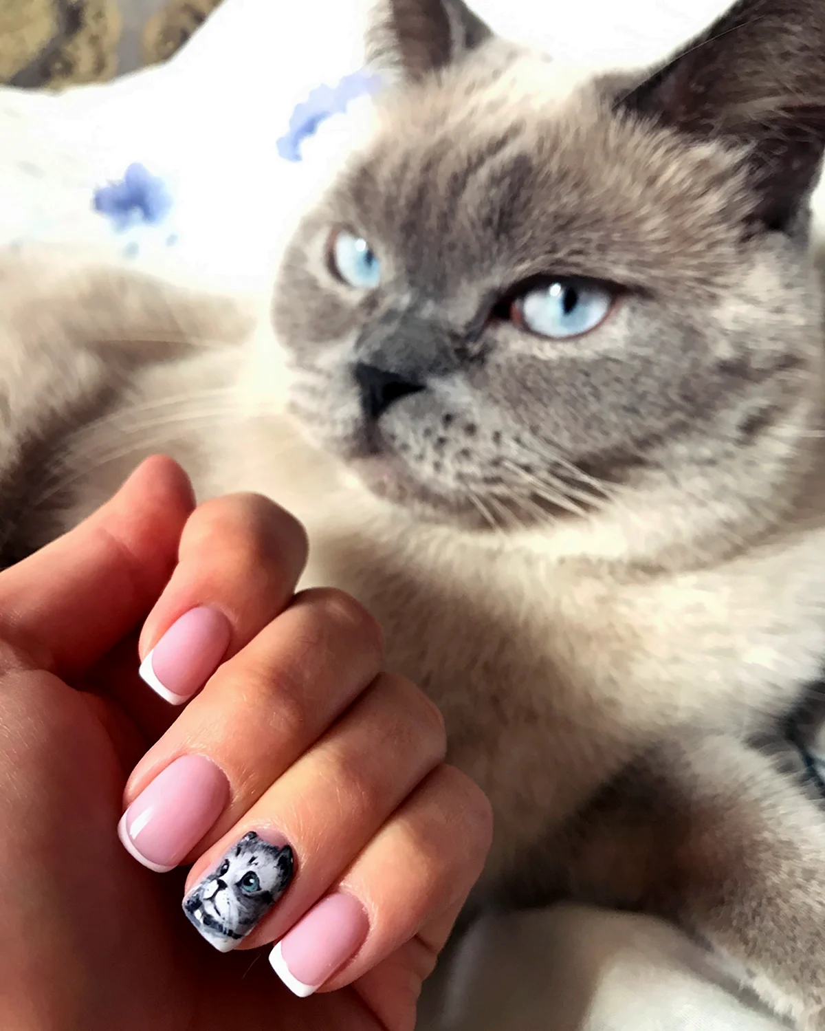 Маникюр с котиками
