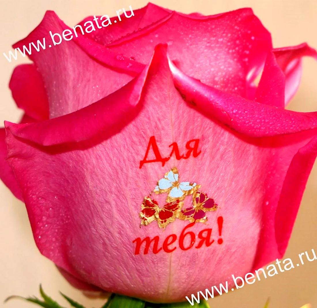 Надписи на цветах