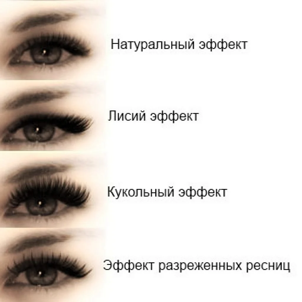 Наращивание ресниц беличий эффект 2д схема