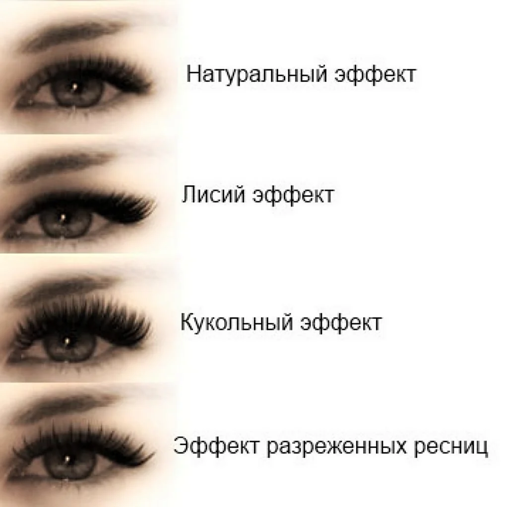 Наращивание ресниц беличий эффект 2д схема