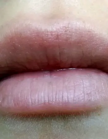 Неяркие губы
