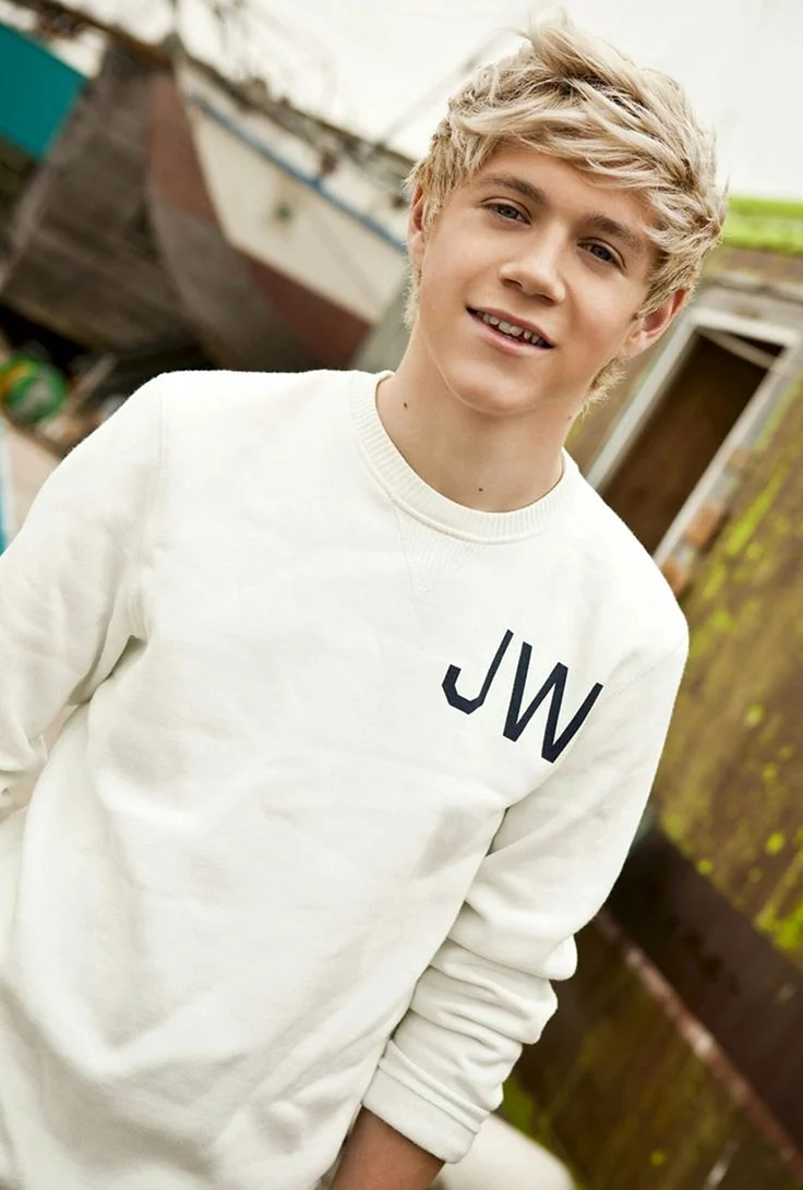 One Direction Найл Хоран