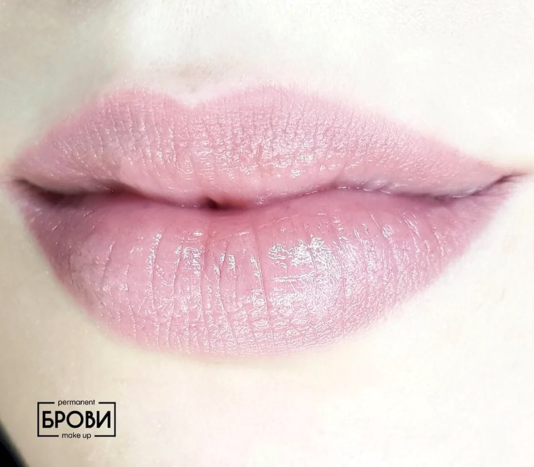 Перманент пыльная роза