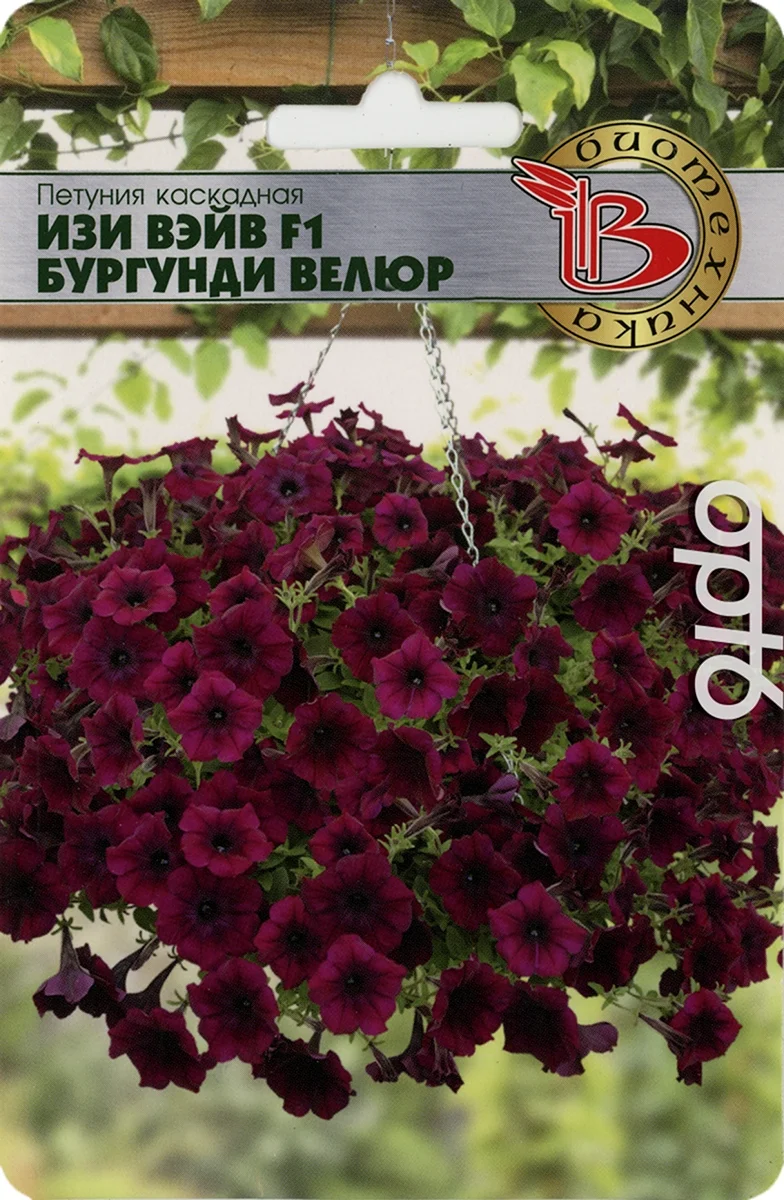 Петуния ИЗИ Вэйв бургунди велюр f1 каскадно-ампельная