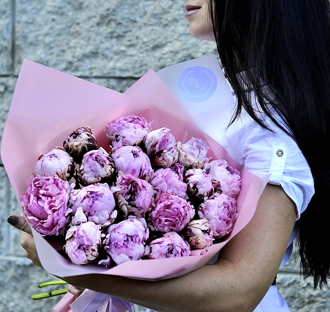 Пионы Голландия