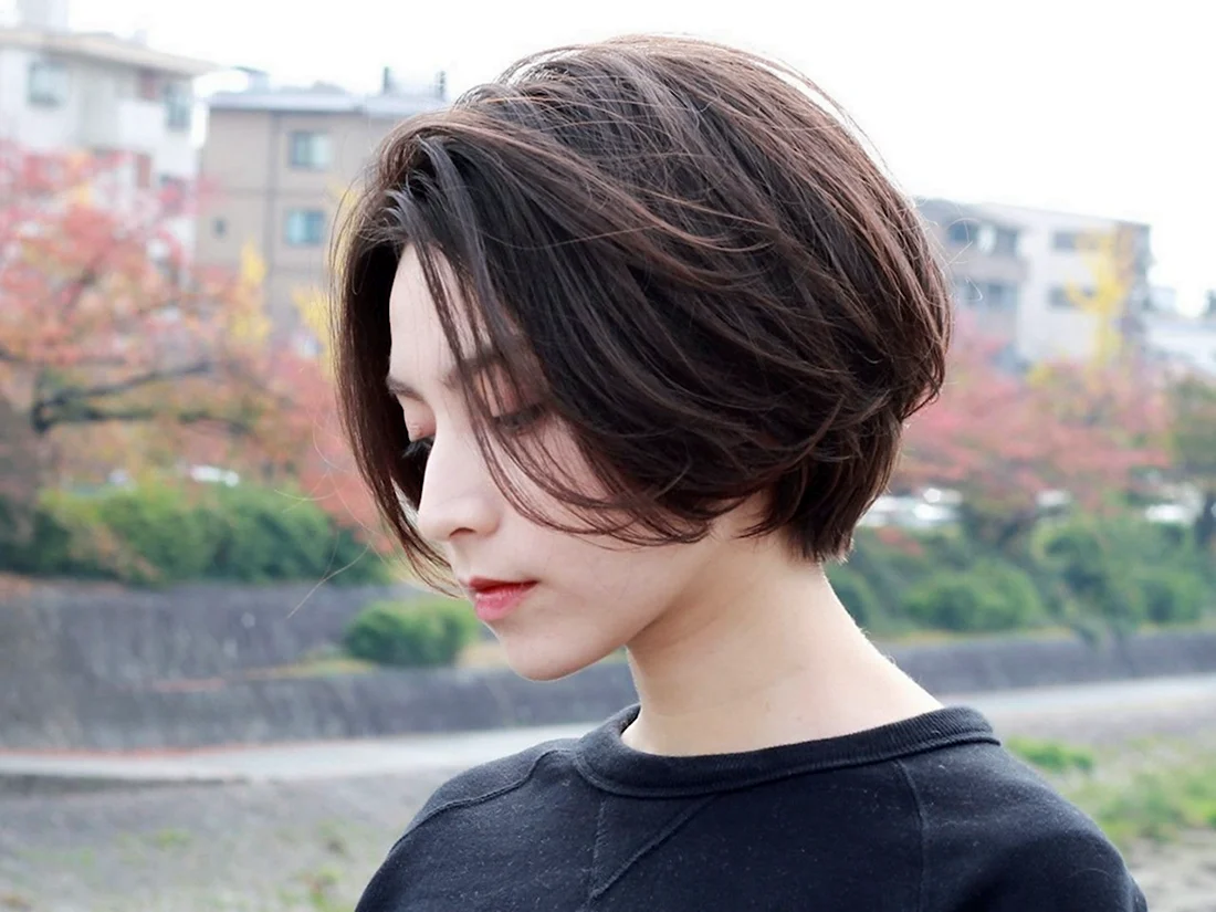 Pixie Bob стрижка Корея