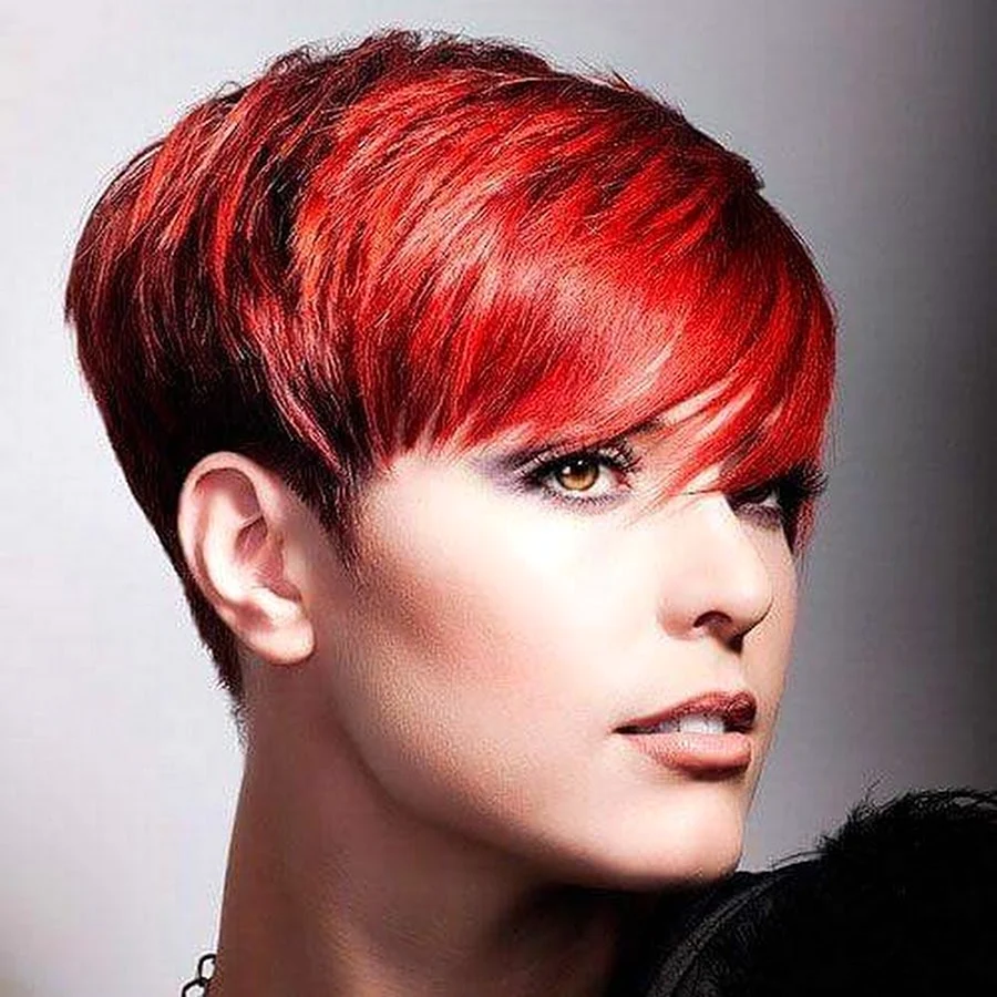 Pixie Bob стрижка красный