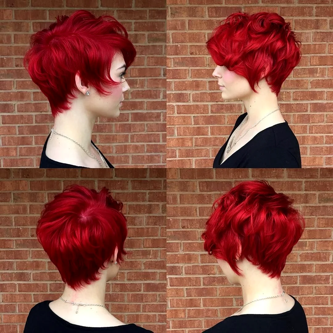 Pixie Bob стрижка красный