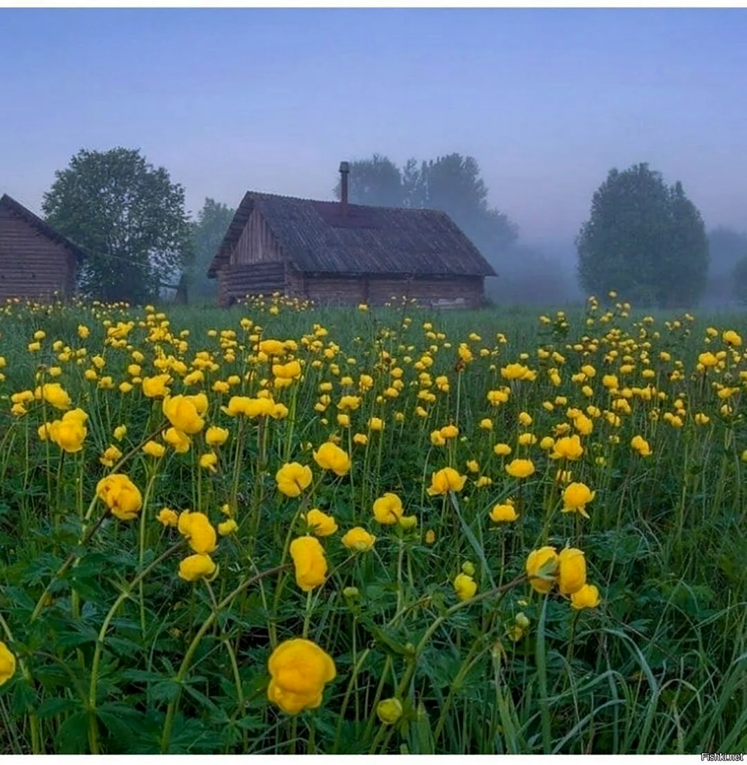Природа деревня