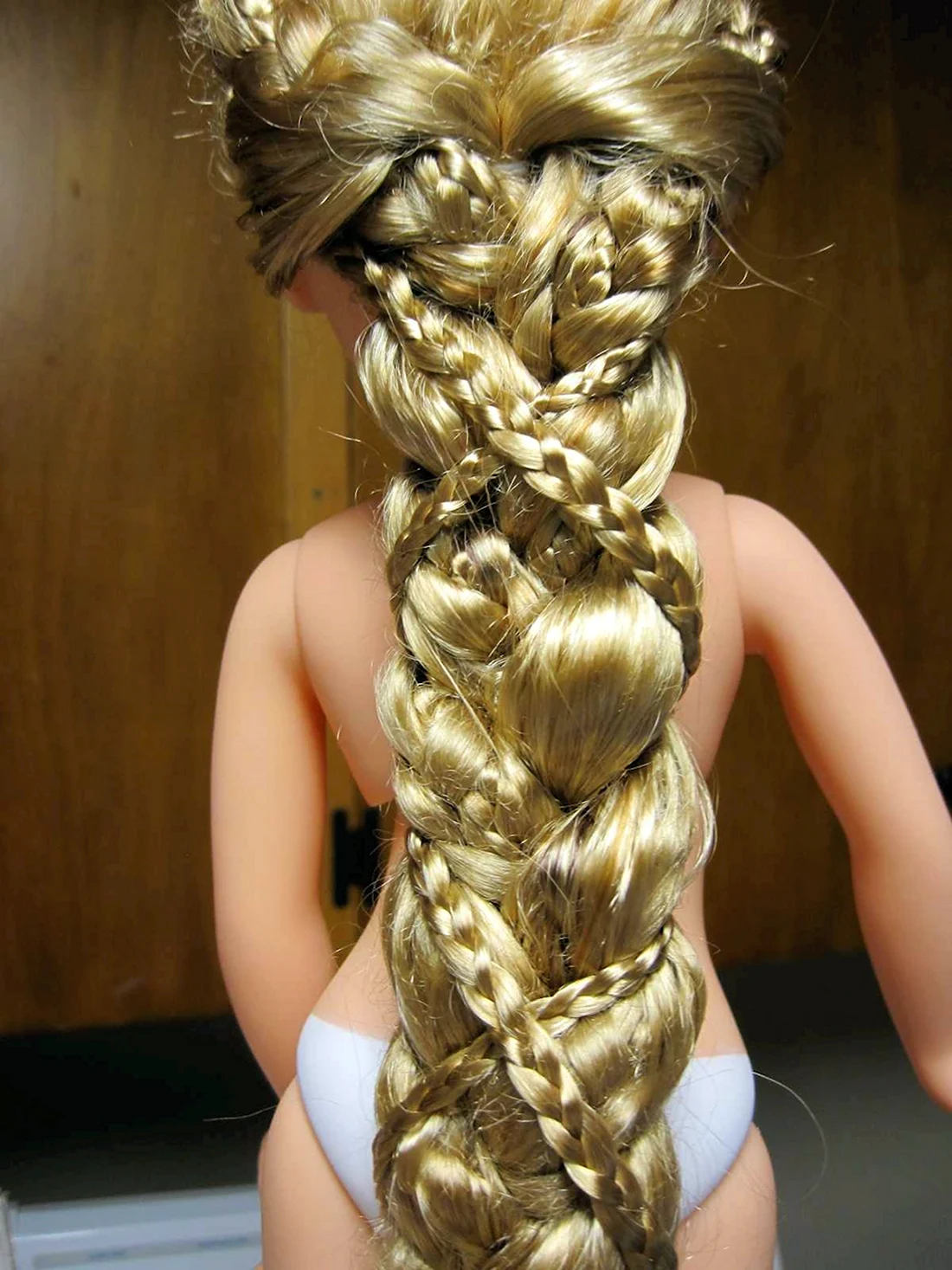Rapunzel Braid