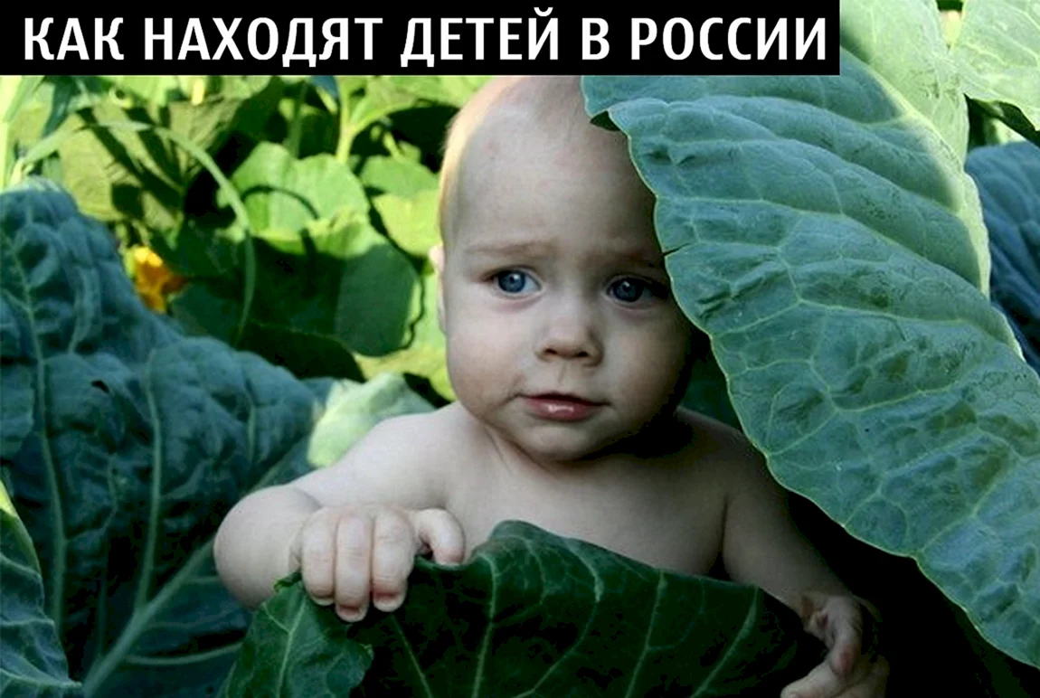Ребенок в капусте