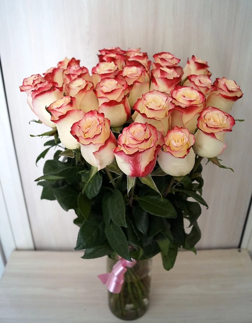 Роза Эквадор sweetness