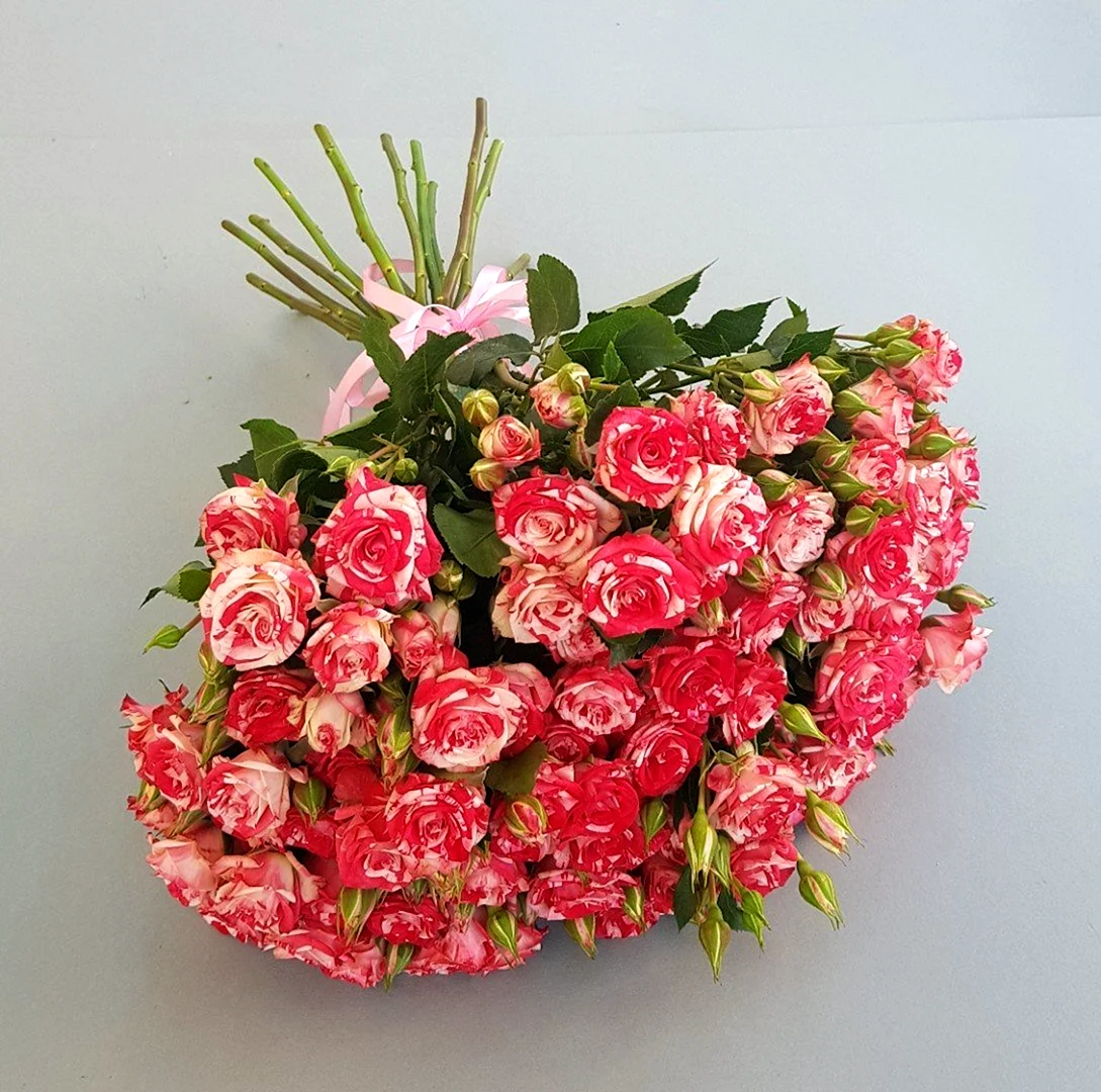 Роза кустовая фаерворкс