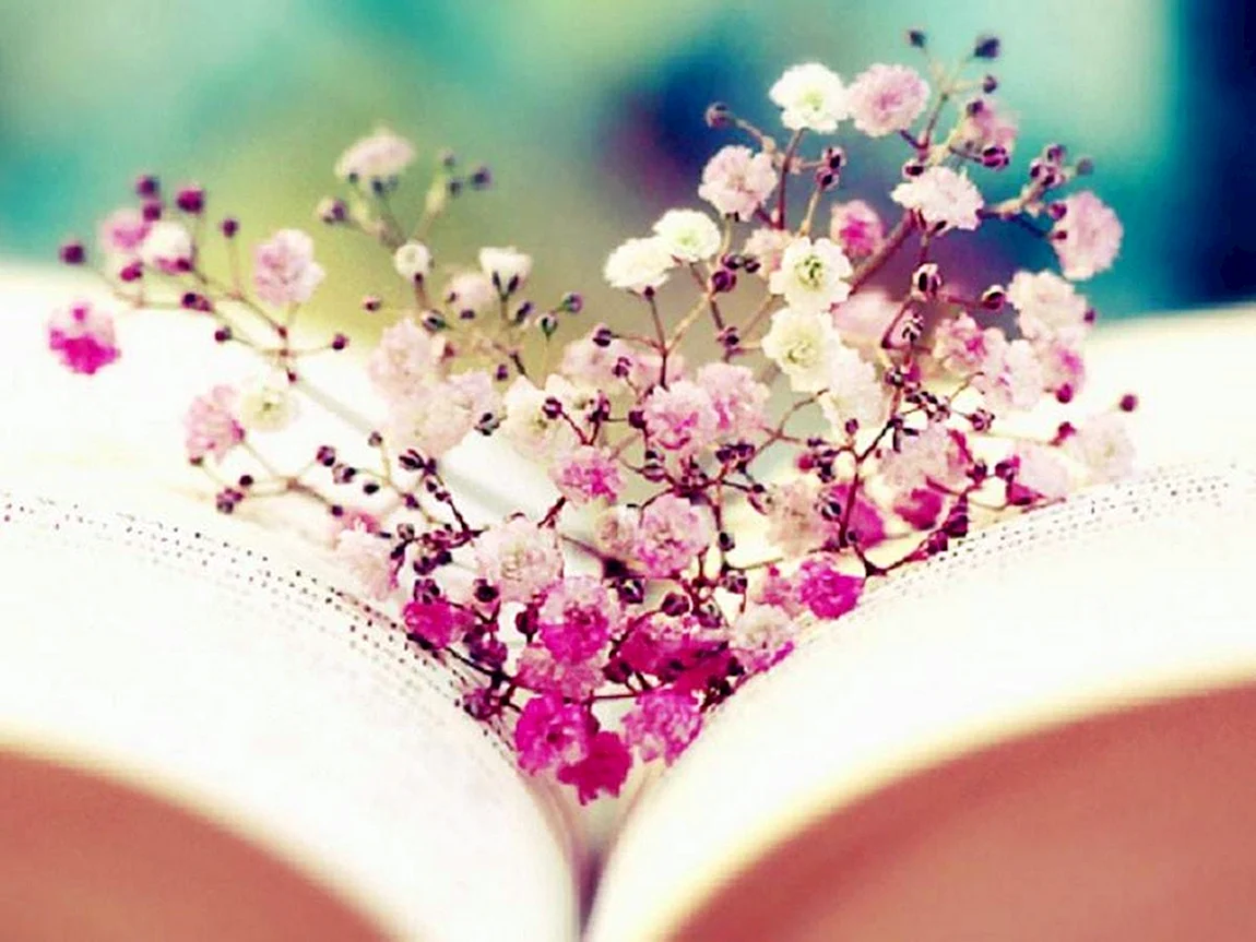 Сердце книга цветы