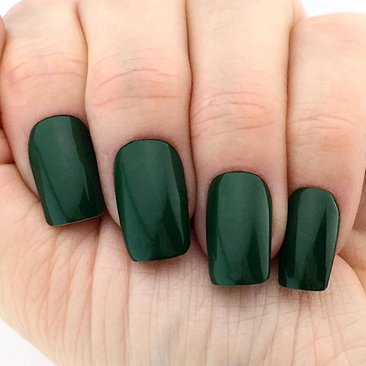 Shellac Dark Green