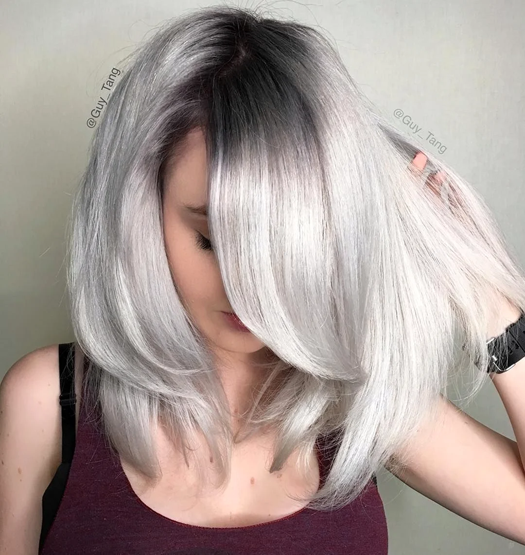 Сильвер грей Silver Gray