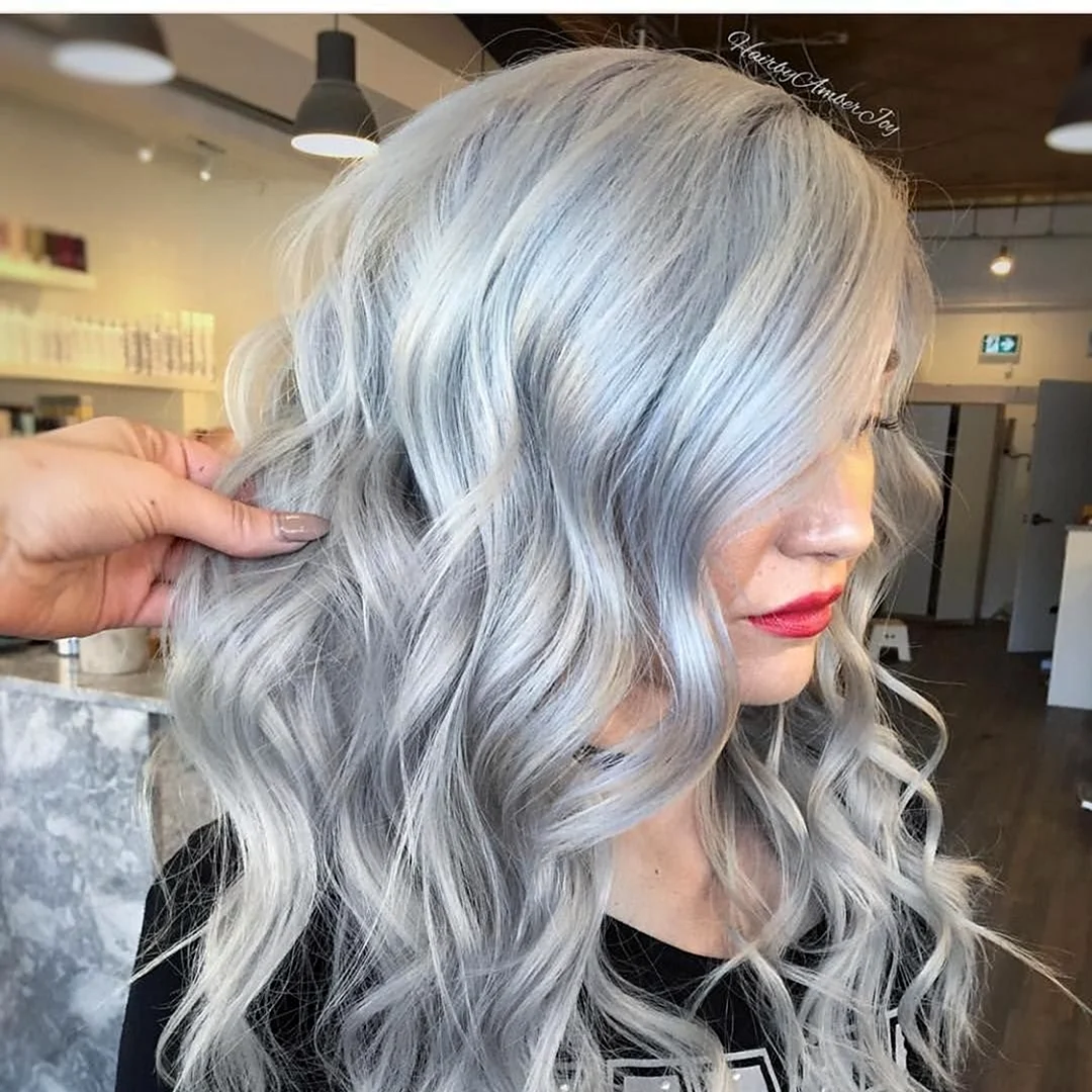 Сильвер грей Silver Gray