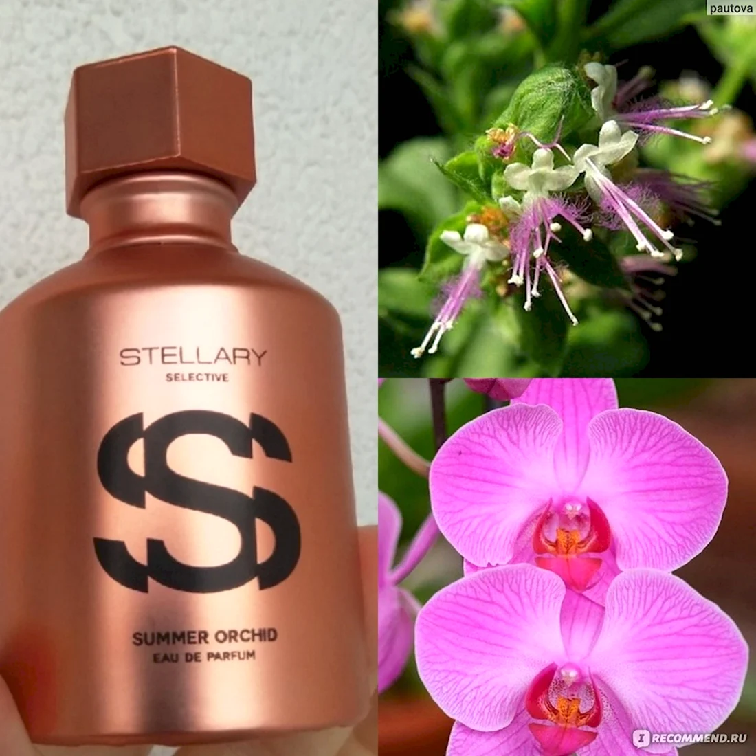 Stellary selective Парфюм