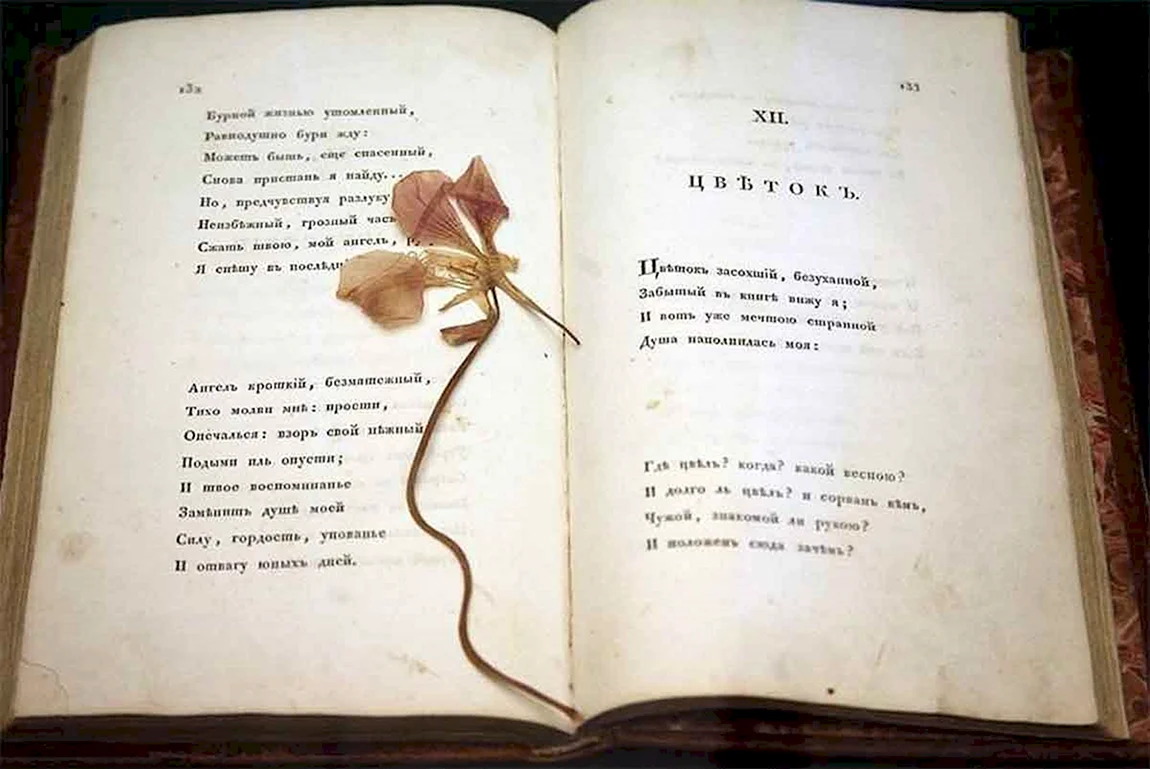 Стихи книга