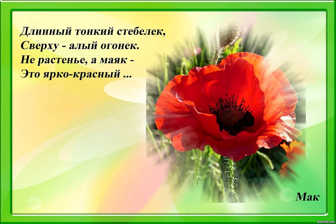Стихи про цветы для детей