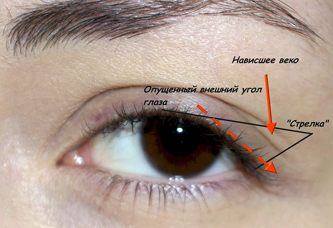 Стрелки для опущенных уголков глаз (31 фото)