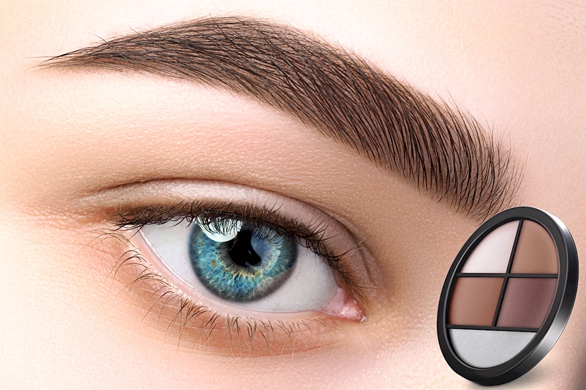 Тени для бровей Relouis Pro Brow