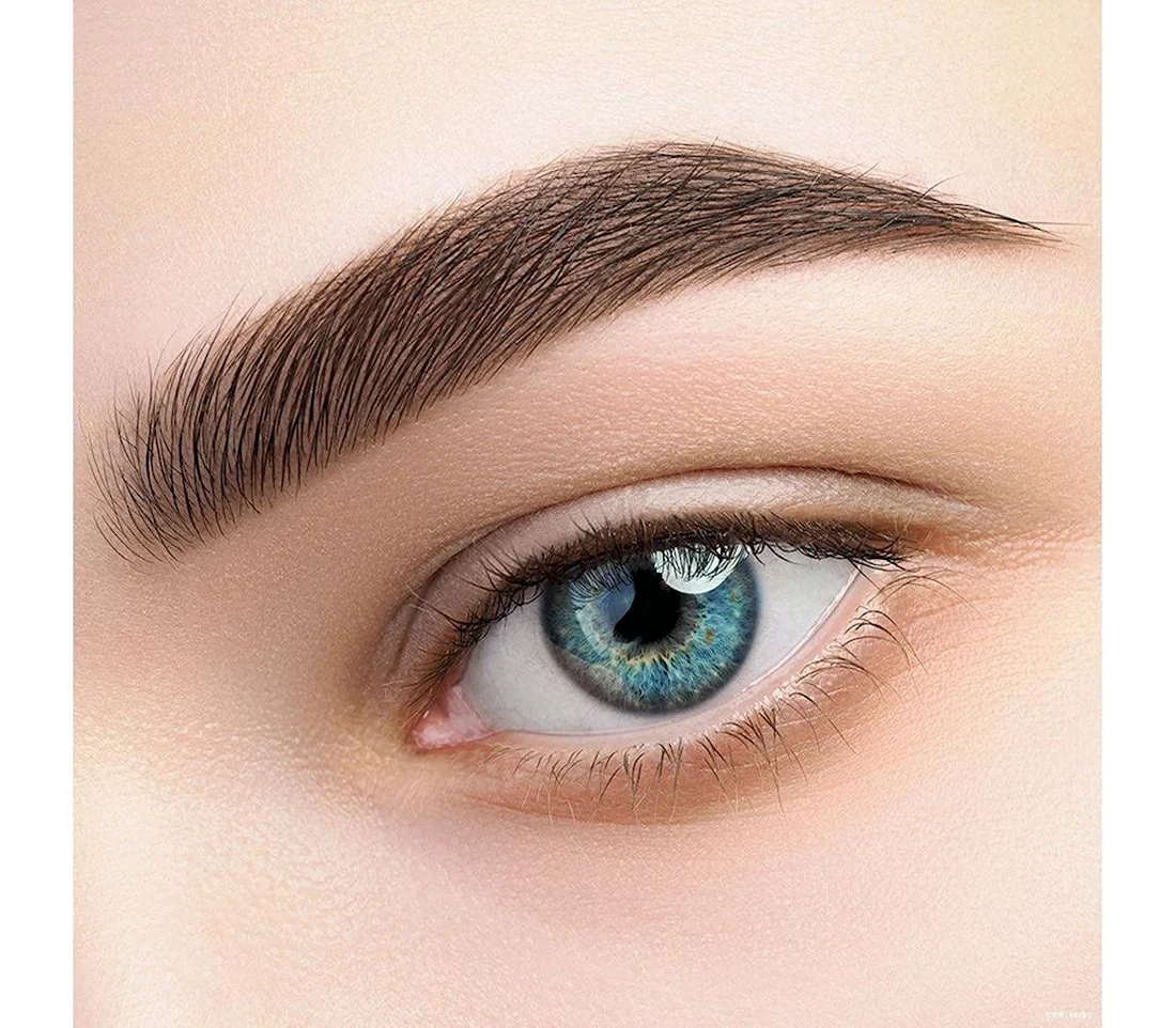 Тени для бровей Relouis Pro Brow