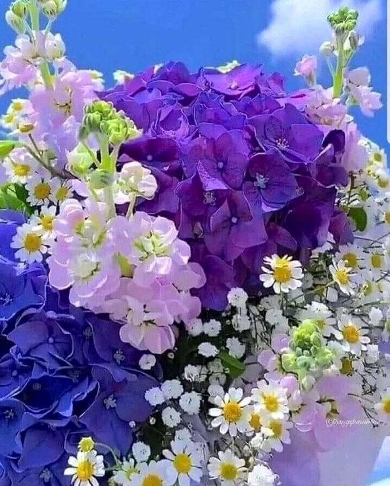 Цветы с пожеланиями
