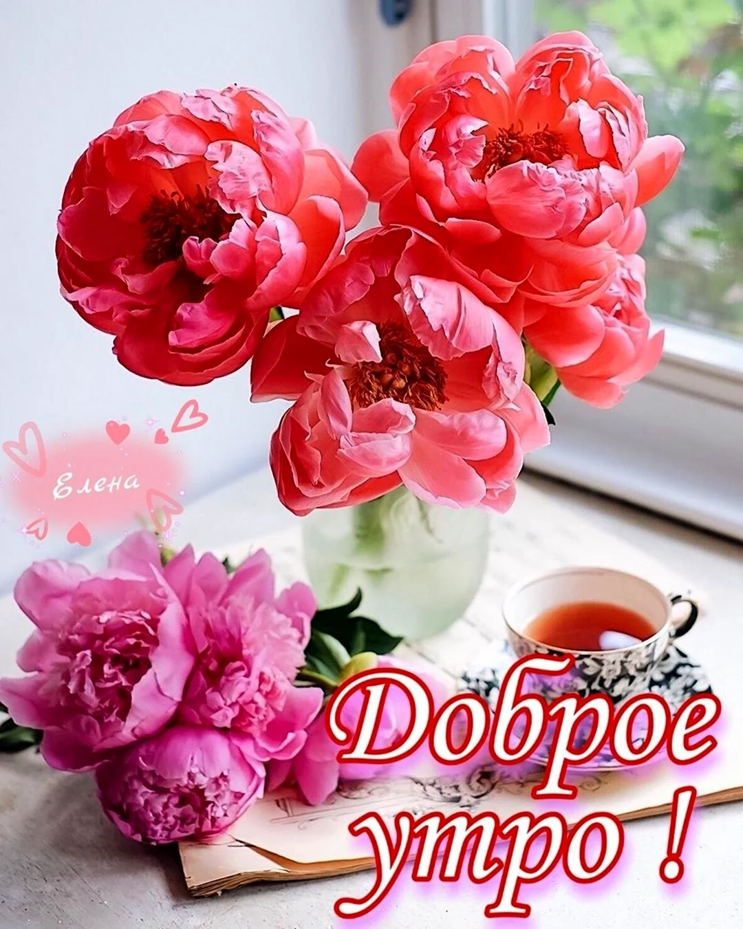 Утренние пионы