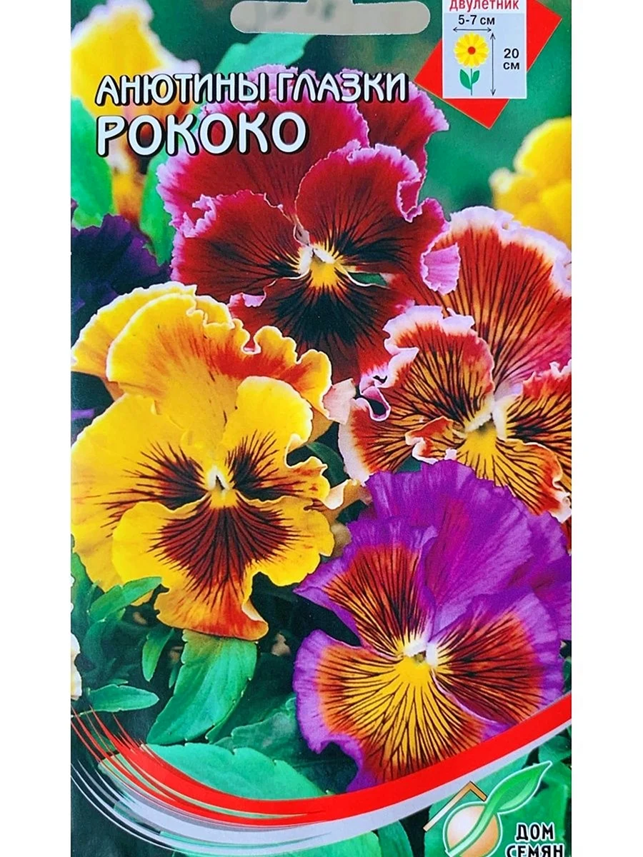 Виола рококо Аэлита